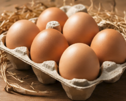 Organic Free-Range Eggs (8/box)